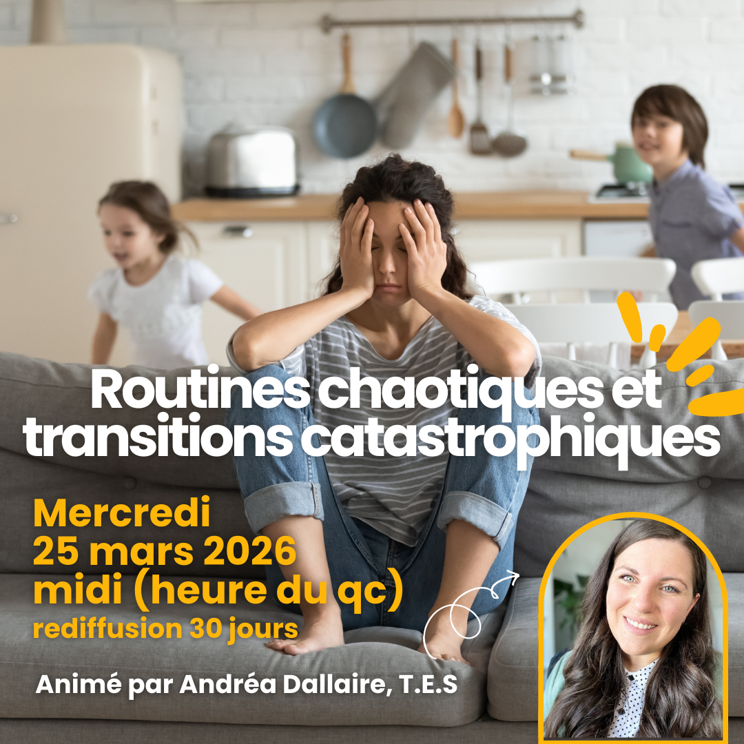 COMPLET Workshop - Routines chaotiques et transitions catastrophiques (25 mars)